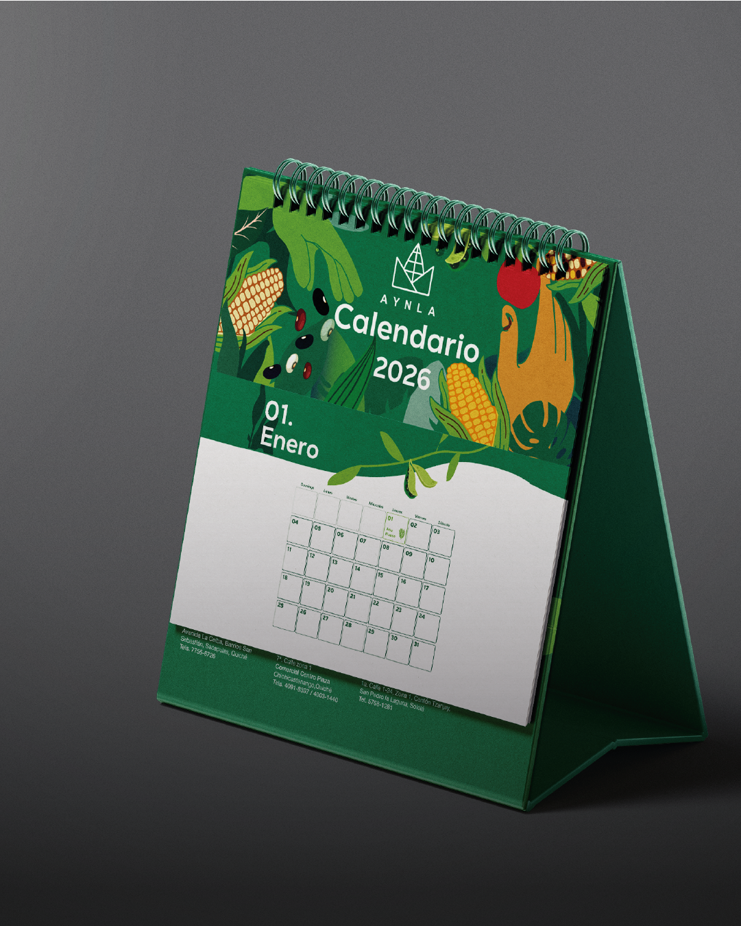 Catálogo de servicios-14