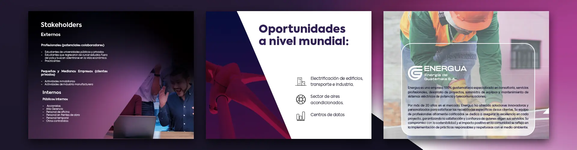 auditoria-manual-energua